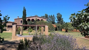 Lavender Fragrance in the Pergola zone