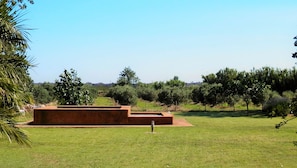 Swimming Pool flanked by Olive Trees plantation
