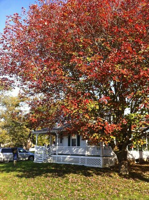 Fall in Harpswell