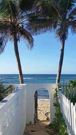  Sink your feet in the sand as palms welcome you to the beach 