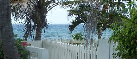 Walkway To the Beach from the front yard