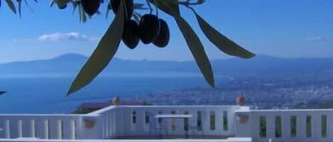 Huge roof terrace overlooking the Messinian bay