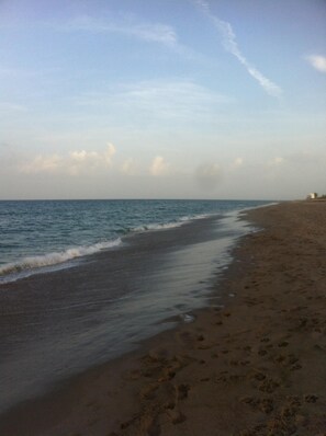 Our Beach