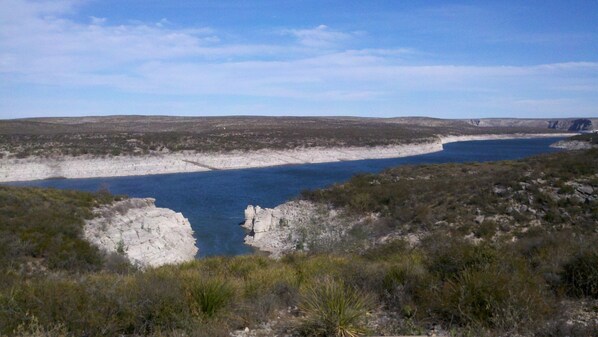 View from back deck