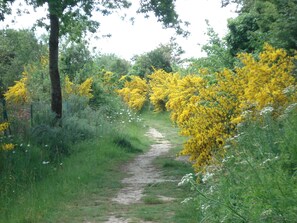 Jardines del alojamiento