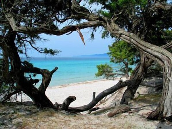 plage de sable fin 