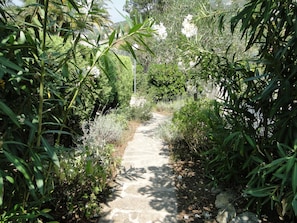Allée