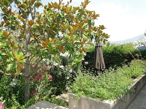 Terrasse intermédiaire
