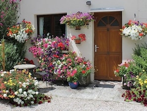 Front door in the summer