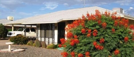 Bright orange bush adds beautiful accent to brick frontage of home.