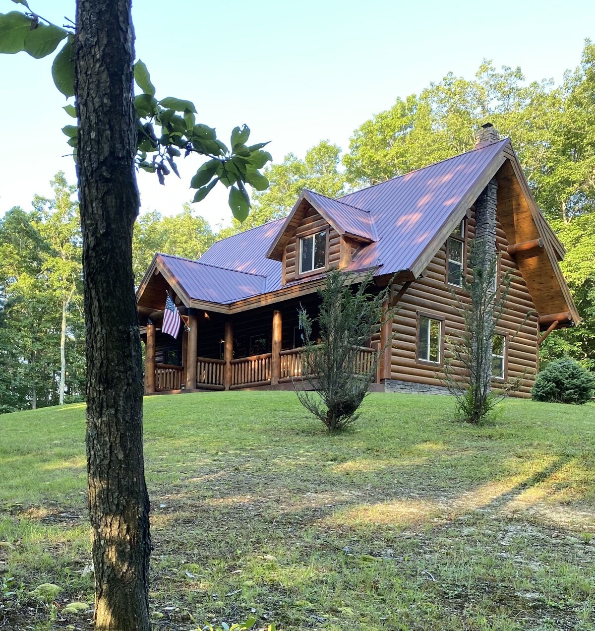 Main Image