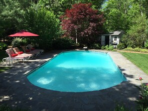 Sun filled Pool