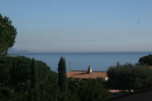 Beach/ocean view