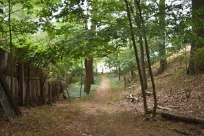 Path to view of Lake Michigan