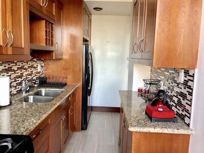 LUX APT next to CONVENTION CENTER/BEACH w/PARKING!