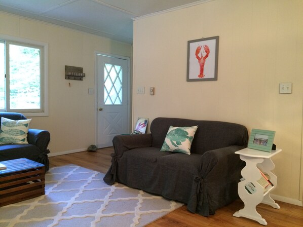 Living room and entrance