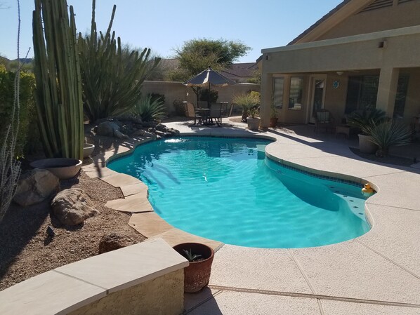 Backyard Oasis