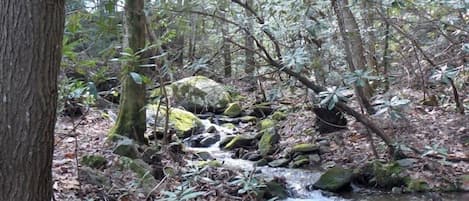 Amazing creekfront property.  View from sleeping/dining porch. imagine the sound