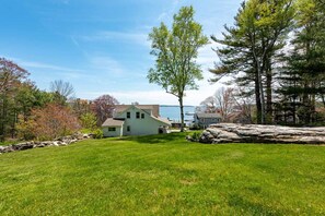 Back yard