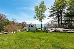 Back yard