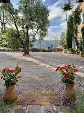 View from the gym