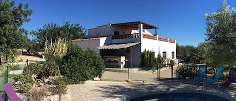 Pool, bar and terrace