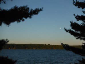 Unclassified image, 2 of 16, button