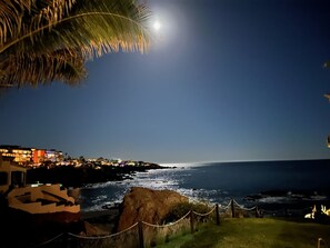 Moonlit night from the patio