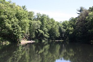 Järvi