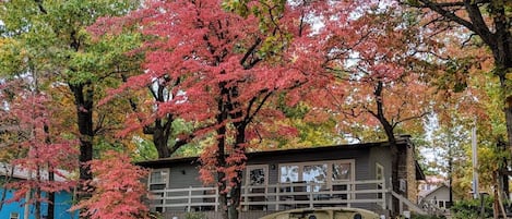 Fall at Laketime Cottage. Okla. Forestry certified largest dogwood tree in Okla.