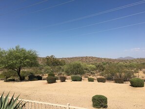 view out the back patio
