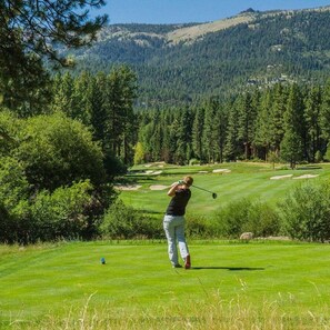 Championship Golf course