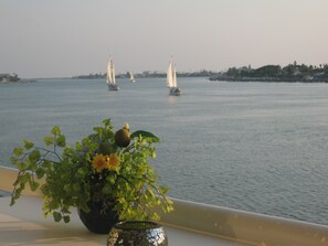 Enjoy watching the sailboats as they glide by.