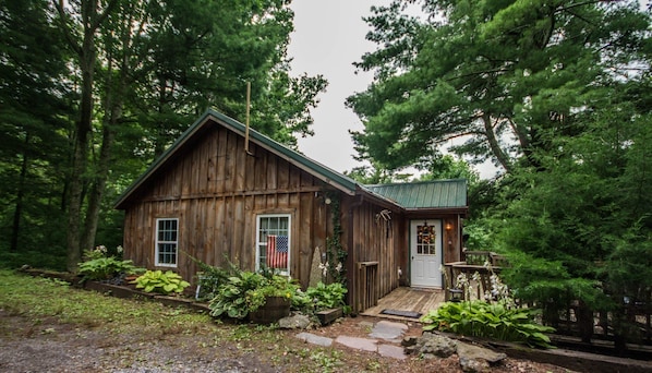 Cozy, remote mountain cabin tucked away in the woods