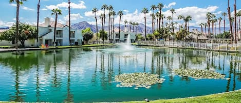 Desert Breezes Pond