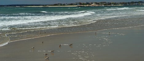 A short walk to this magnificent beach