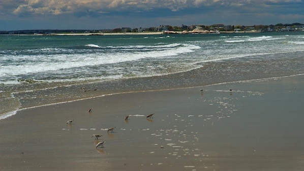 A short walk to this magnificent beach