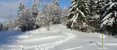 Sneeuw- en skisporten