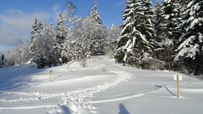 Skidåkning och snöaktiviteter