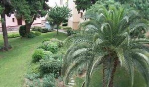 Parc vu de la terrasse