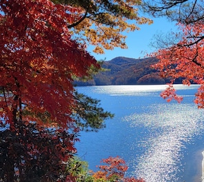 Fall foliage from the upper deck 