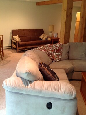 Basement with fireplace