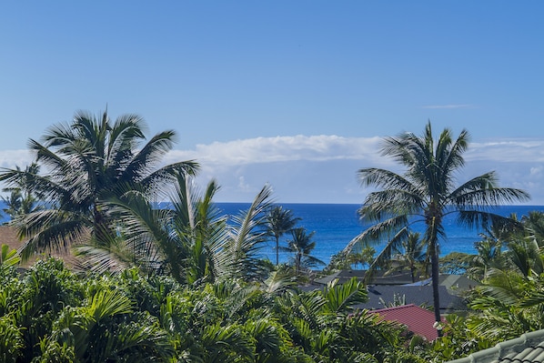 Your view from the upstairs lanai