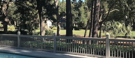 Elevated deck & swimming pool.