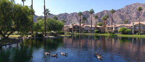 Lake