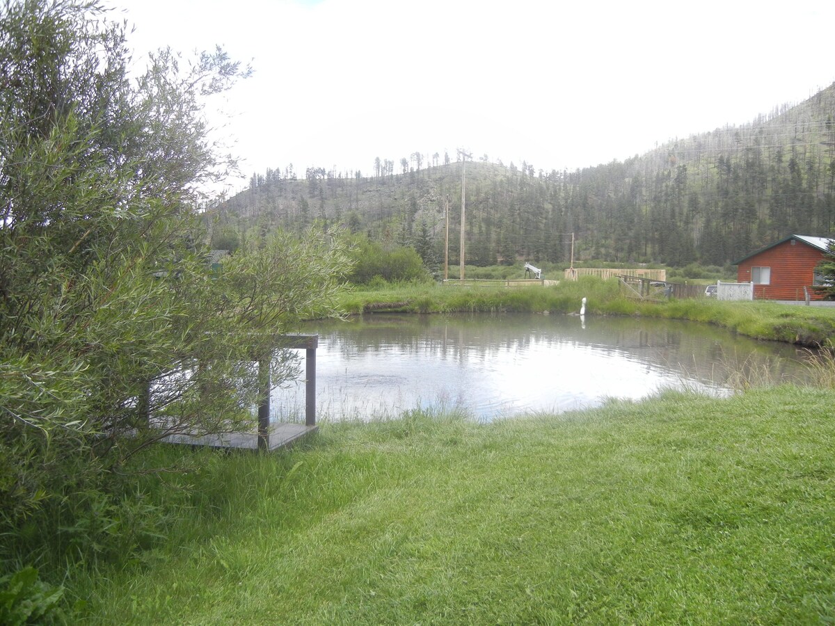 Main Image