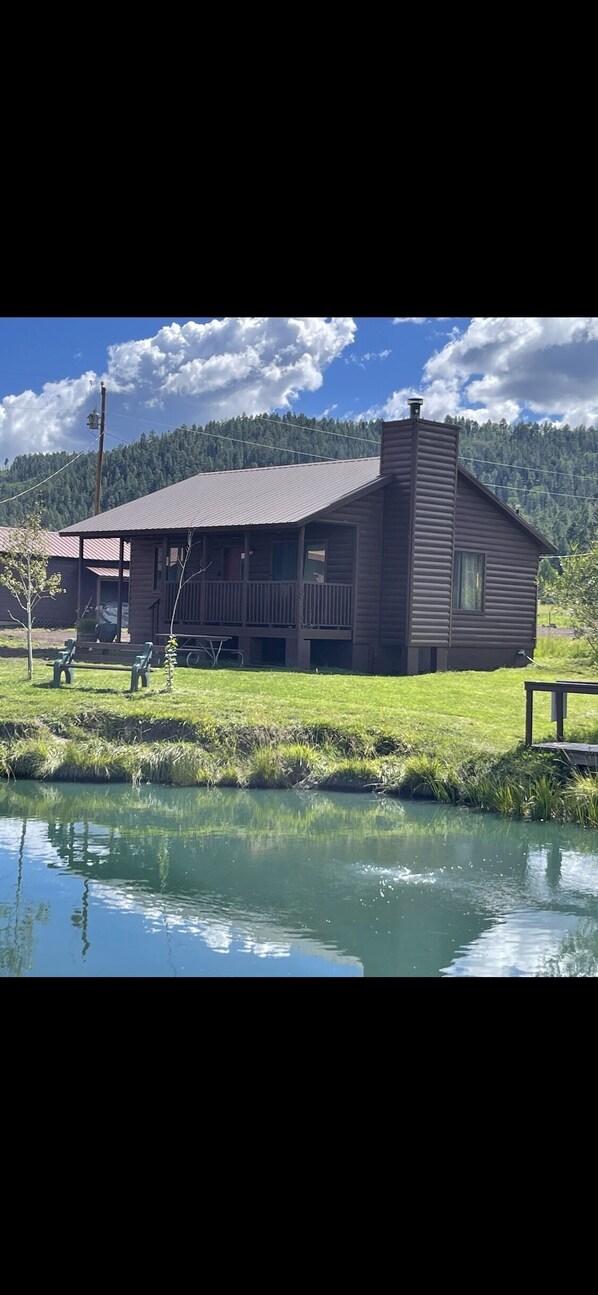 Private trout stocked pond on 1 acre/on Main Street.  Shared with 1 other cabin.