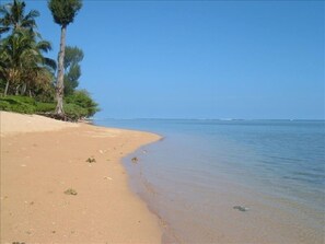 Anini .Beach. Fringing outer reef creates lagoon like conditions. Kayak, snorkel