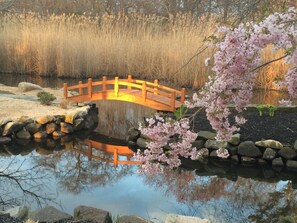 New charming bridge walk look at all that water and 200 feet of rock lined water
 