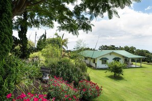 The yard has hundreds of flowers in a very private setting.